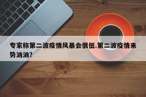 专家称第二波疫情风暴会很低.第二波疫情来势汹汹?