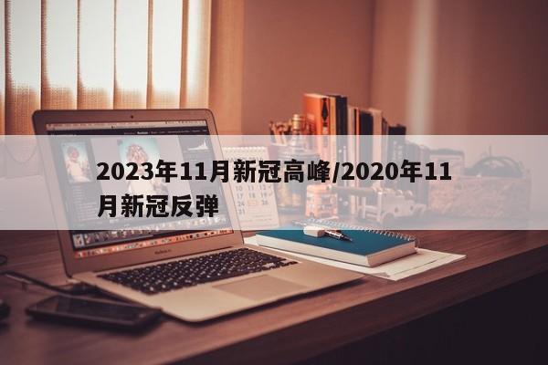 2023年11月新冠高峰/2020年11月新冠反弹